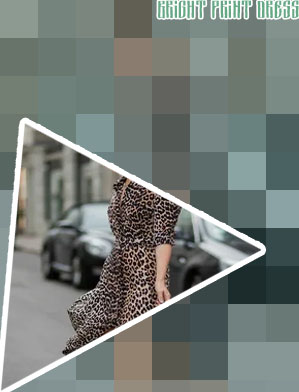 Animal print ladies dresses